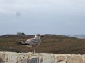 2019-09-25 11-17-22 Cap Frehel FGn